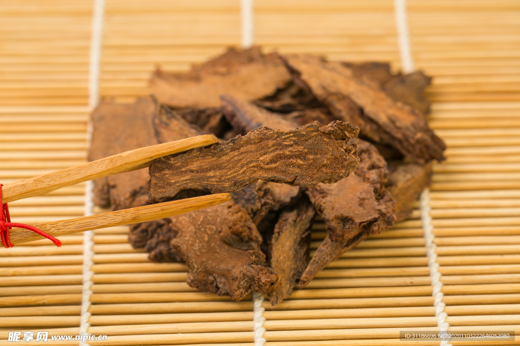 锁阳