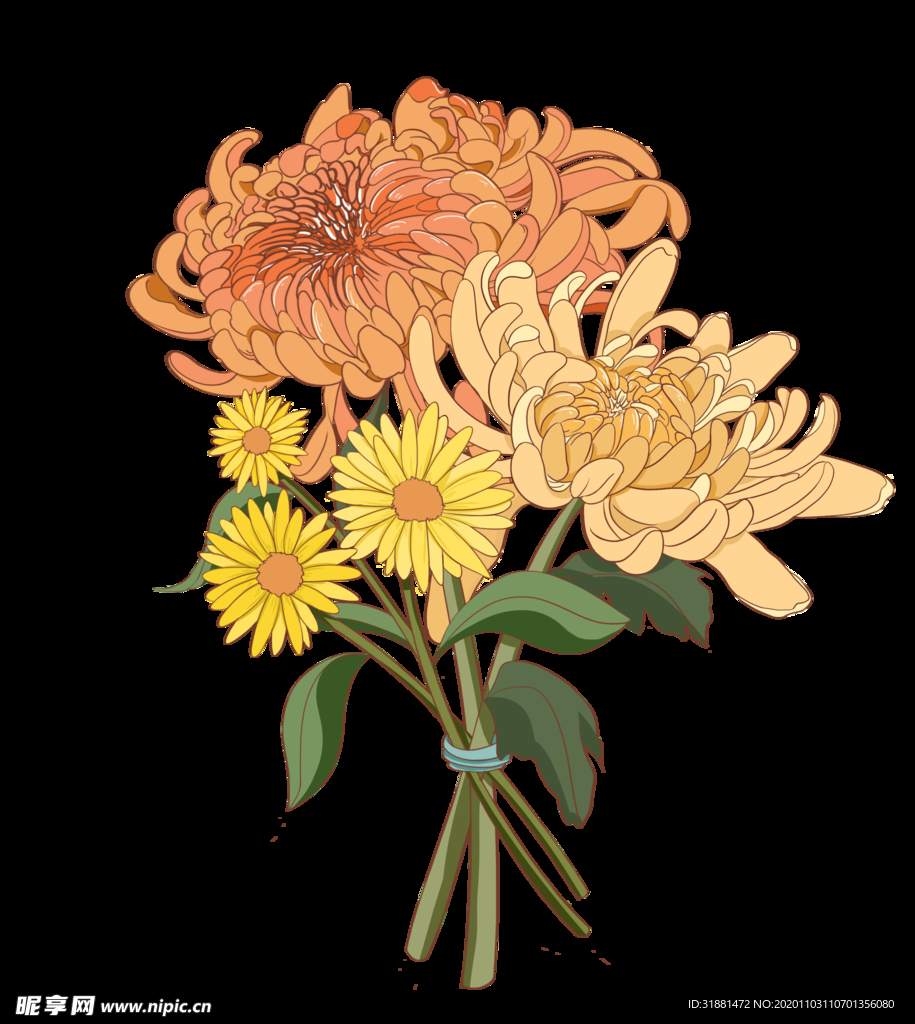 国风菊花手绘