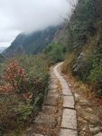 山间小路