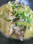 桂鱼