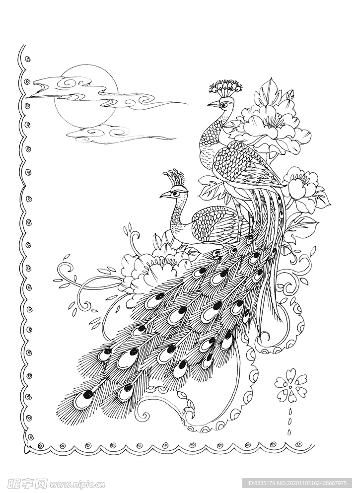 孔雀白描
