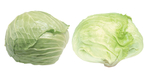 卷心菜
