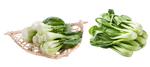 青菜