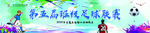 足球比赛 足球比赛背景 比赛
