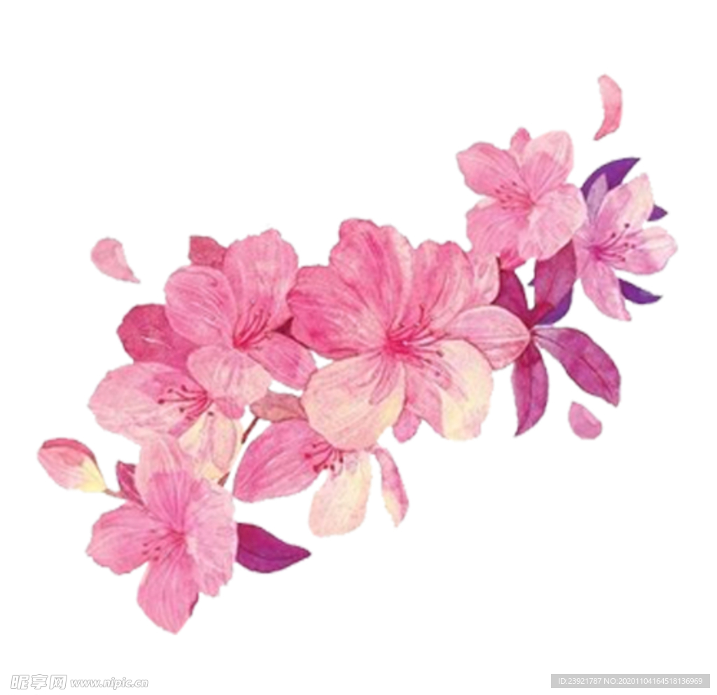 桃花