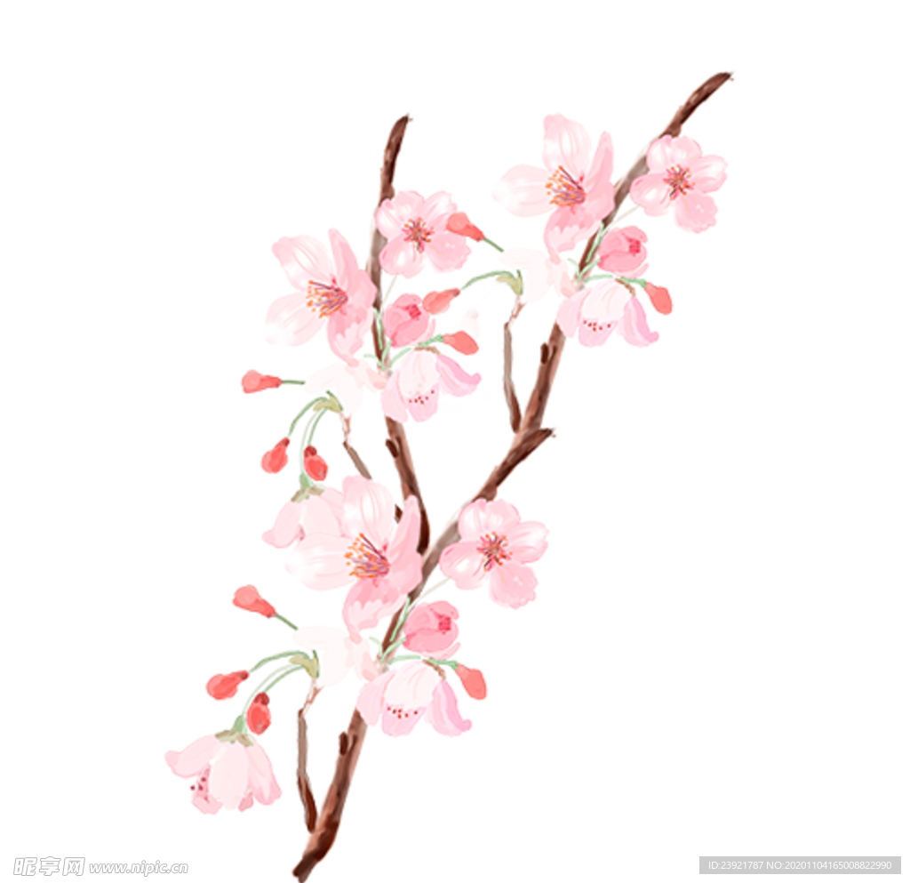 桃花