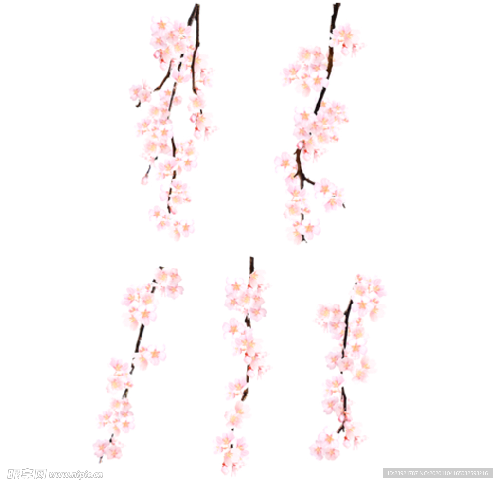 桃花