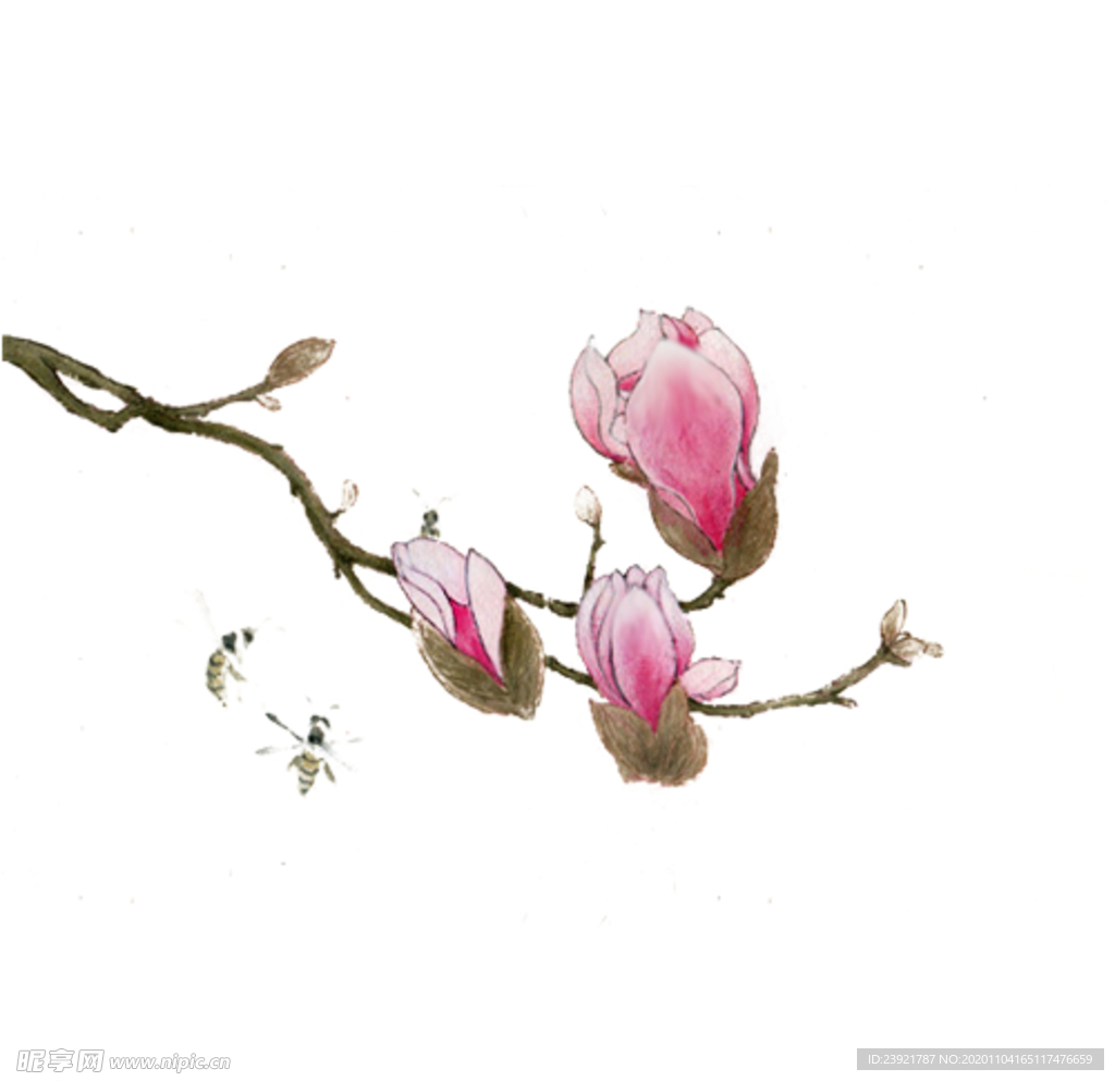 桃花