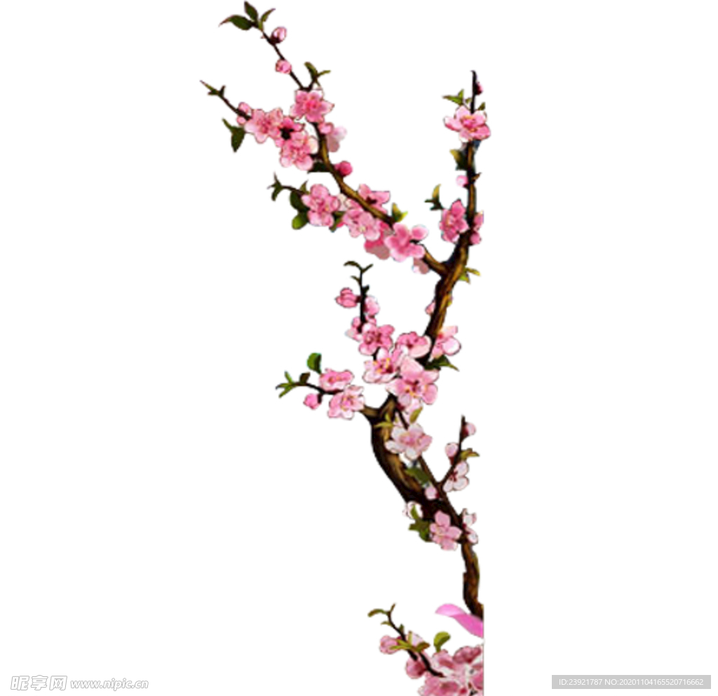 桃花