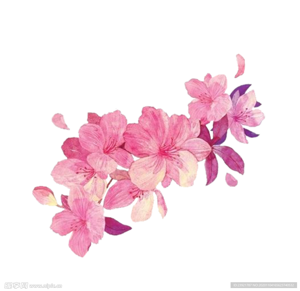 桃花