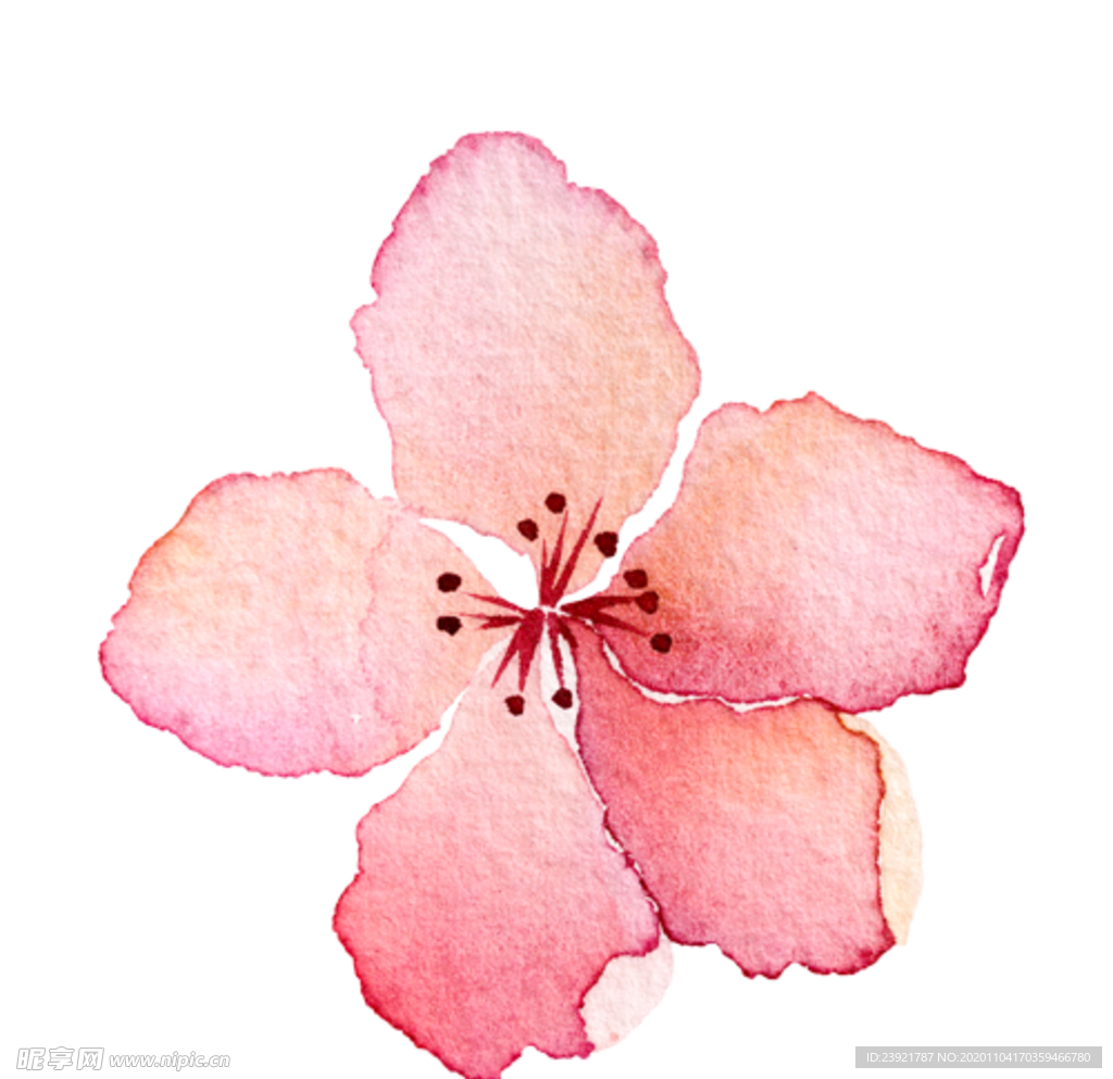 桃花