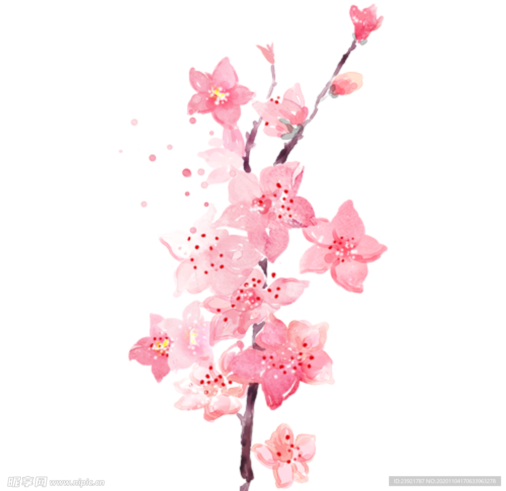 桃花