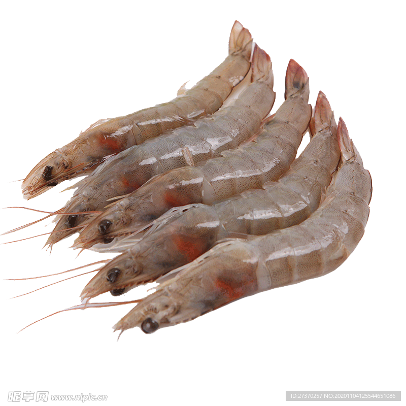 鲜虾