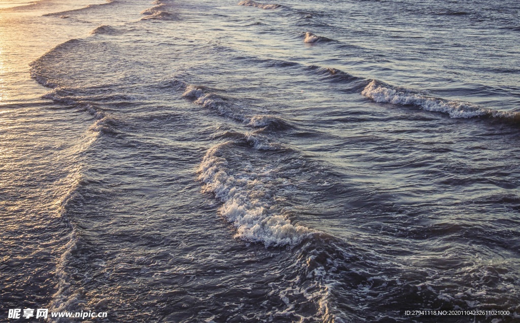 大海