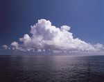 大海