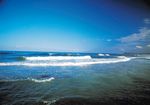 大海