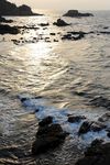 大海