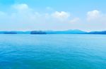大海