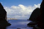 大海