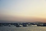 大海