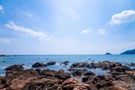 大海