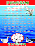 雁蛋的营养价值