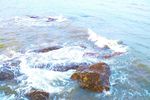 大海