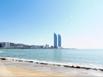 大海