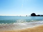 大海