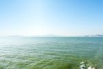 大海