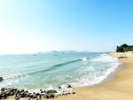 大海