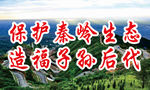 秦岭生态保护