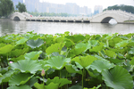 大自然风景摄影图