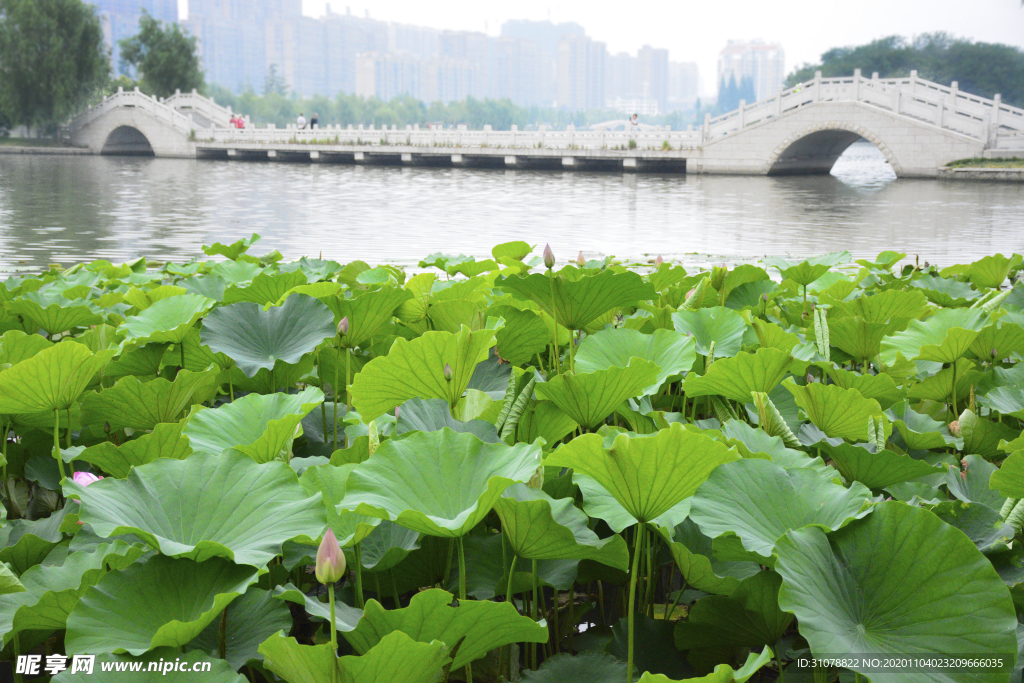 大自然风景摄影图