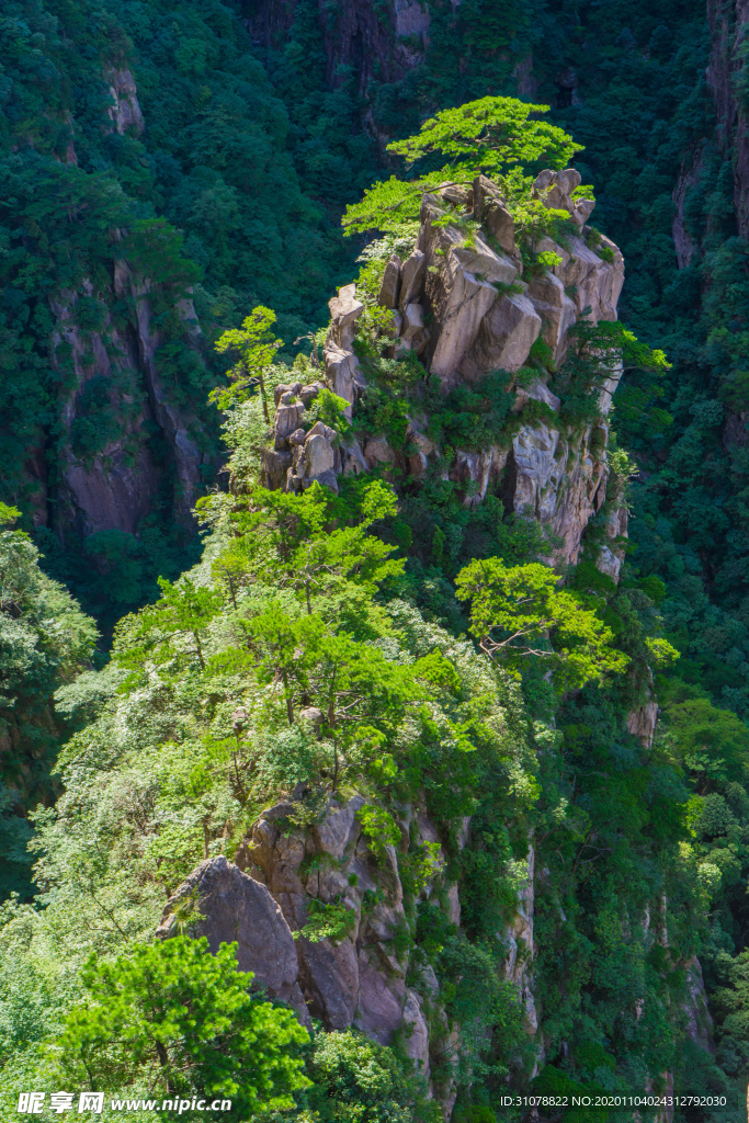 大自然风景摄影