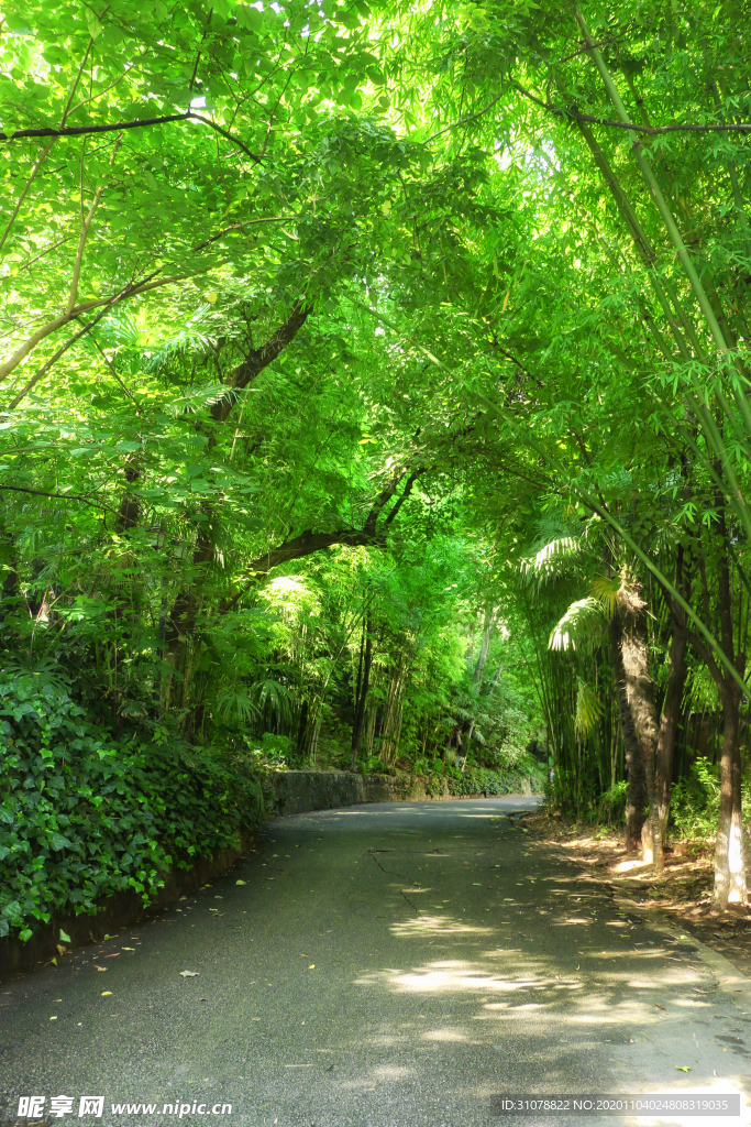 大自然风景摄影