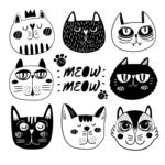 猫 卡通