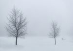 冰雪