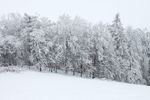 冰雪