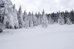 冰雪