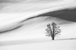 冰雪