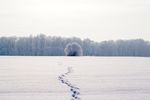 冰雪