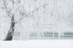 冰雪