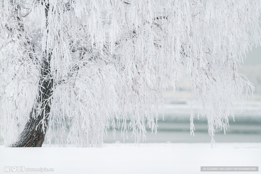 冰雪