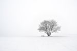 冰雪