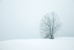 冰雪