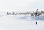 冰雪