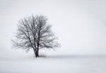 冰雪