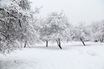 冰雪