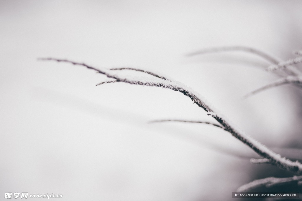 冰雪